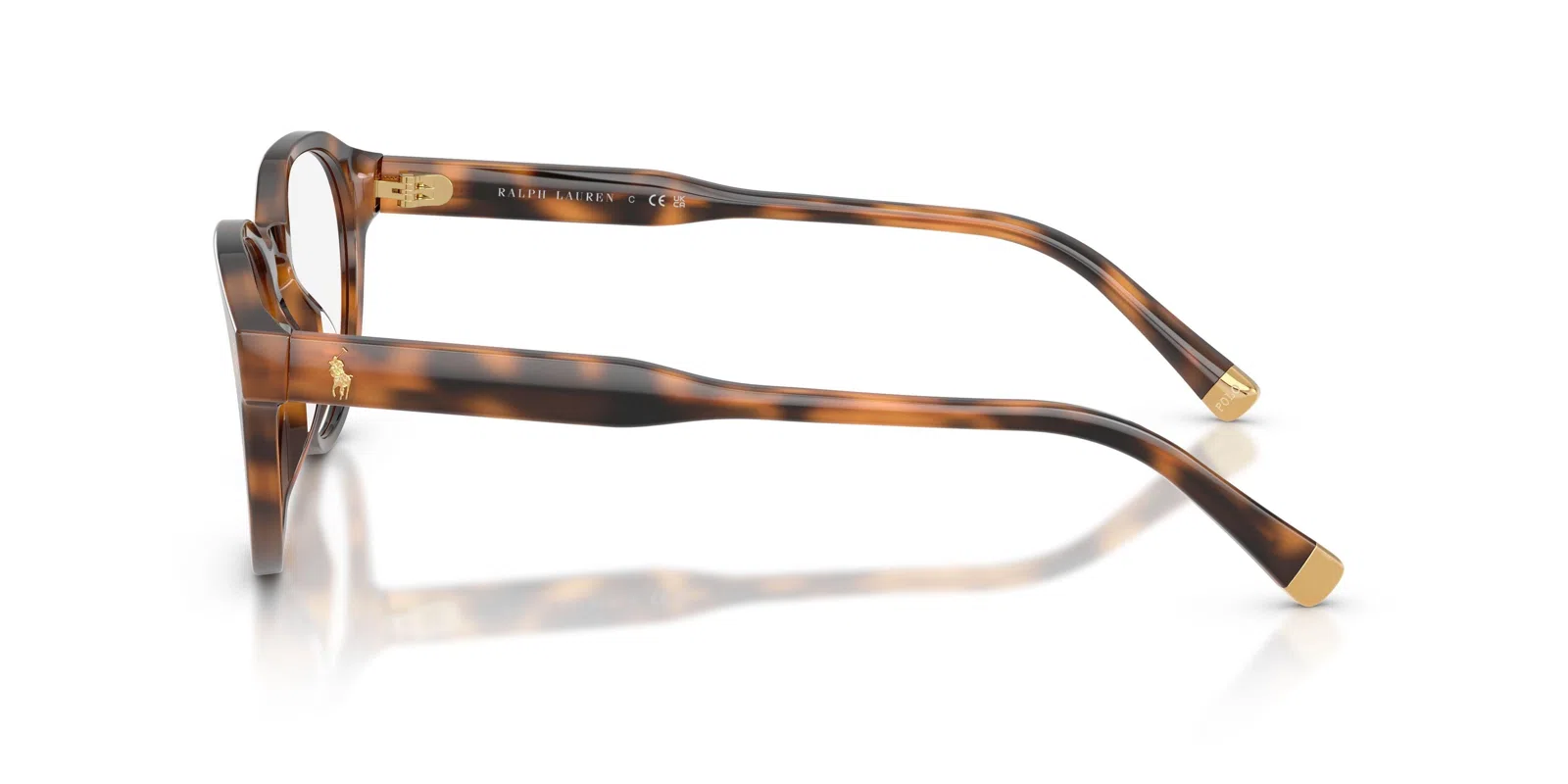Polo 2304F Eyeglasses - view 17